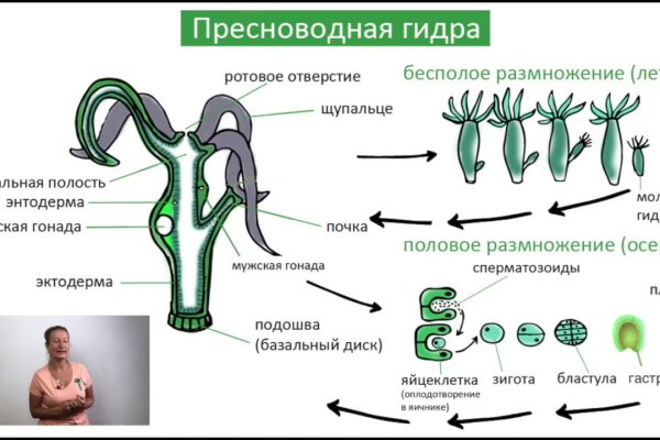 Проверенная ссылка кракен