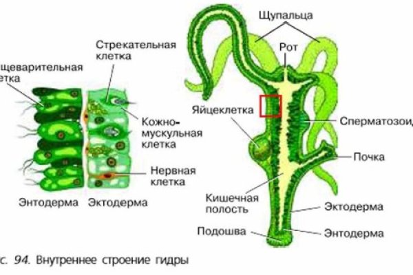 Даркнет маркет кракен onion