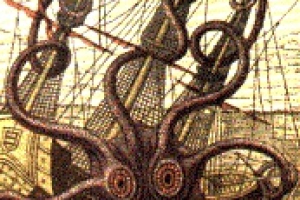 Ссылка на kraken at