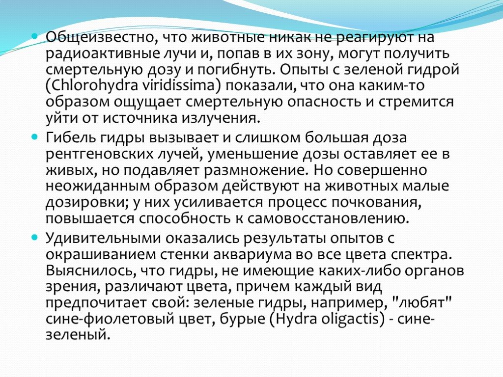 Kraken darknet market зеркало